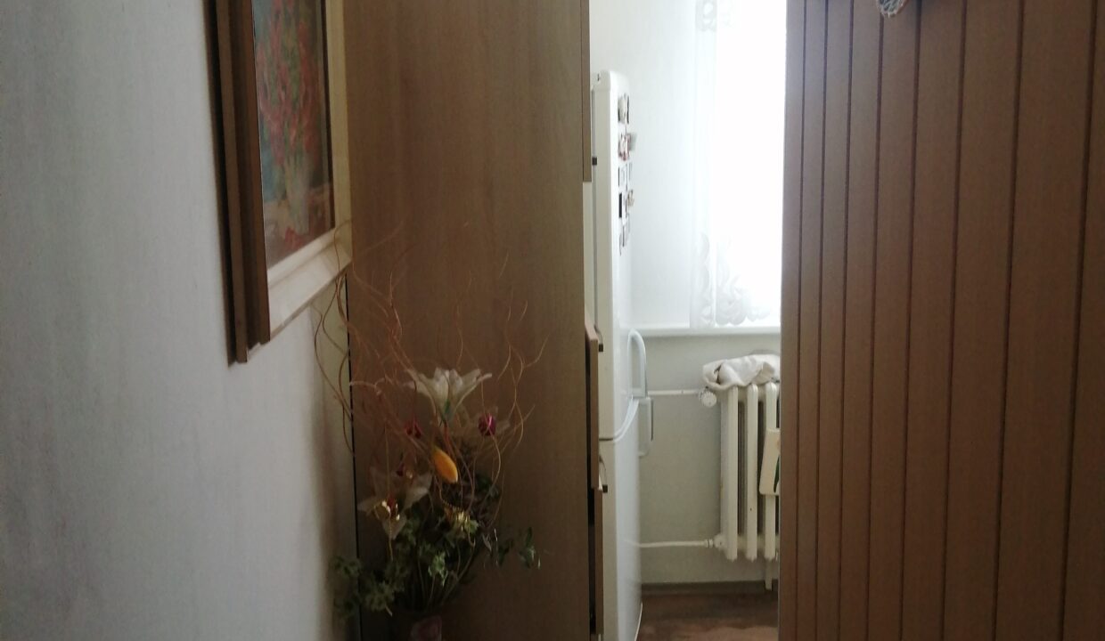 IMG_20240319_143230
